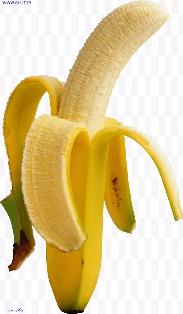 وکتور موز