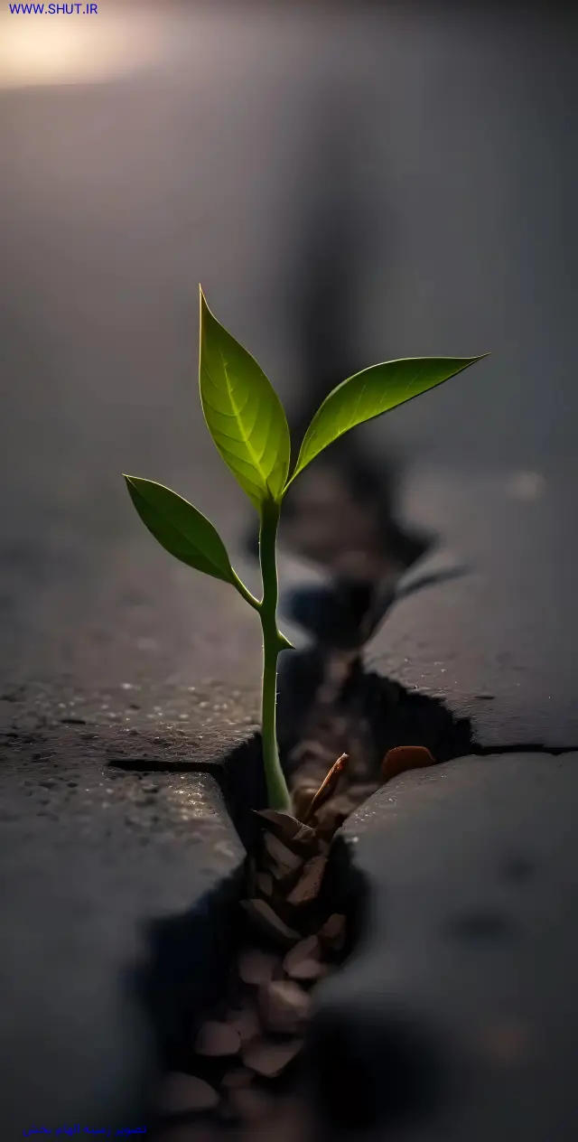 تصویر زمینه الهام بخش