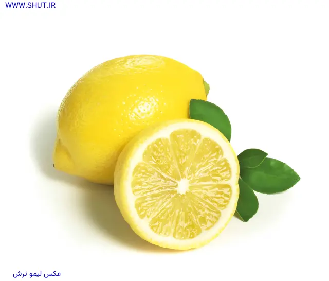 عکس لیمو ترش
