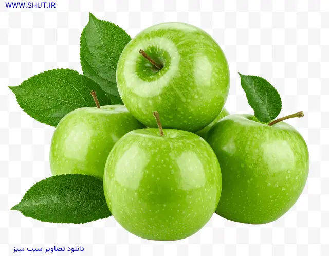 دانلود تصاویر سیب سبز