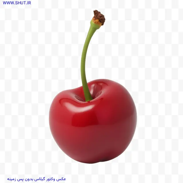 عکس وکتور گیلاس بدون پس زمینه